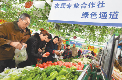 运城蔬菜批发市场深度探秘，揭秘行情与绿色宝藏