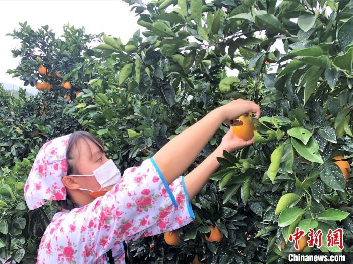 信丰人才网最新招聘信息，启程探索人才与自然美景的双重旅程