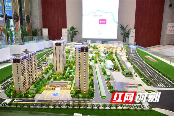 岳阳学府新城最新资讯——日常趣事与温馨学城更新