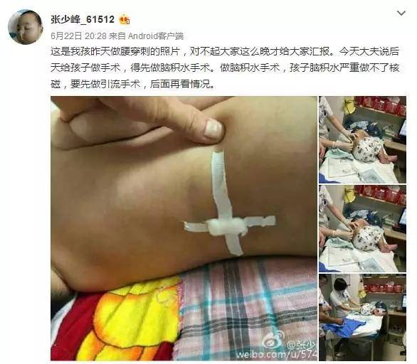 刘辛怡最新动态，多维度视角下的观察与深度解析