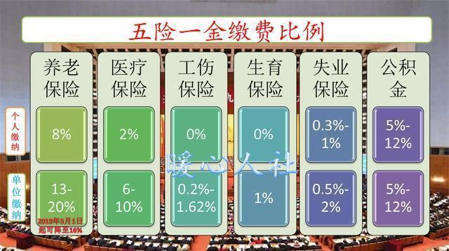 探索独特小巷风情，最新社保缴费比率下的隐藏版特色小店之旅