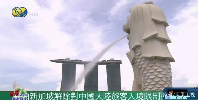新加坡最新疫情资讯与观点论述概述