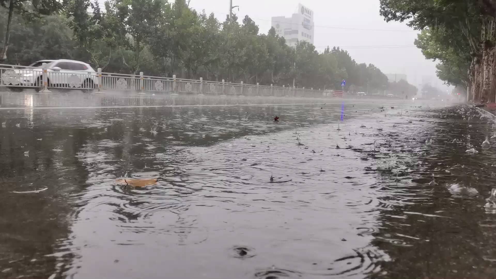日照大暴雨最新消息更新
